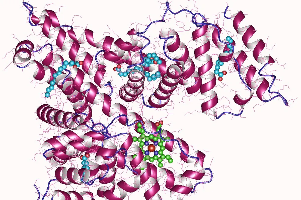 Albumin u likvoru: ključni test za krvno-moždanu barijeru