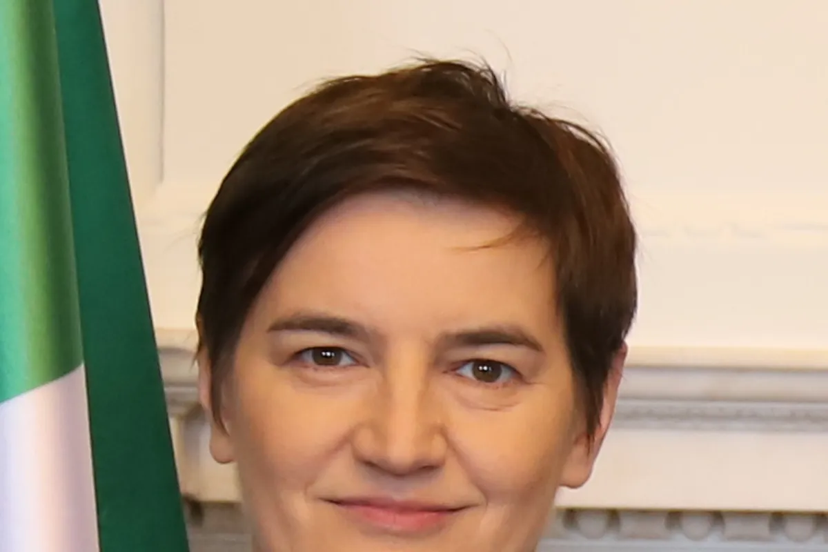 Brnabić optužila Piculu za 'slavljenje ratnog zločina', Mišetić uzvratio: 'Ponovno laže'