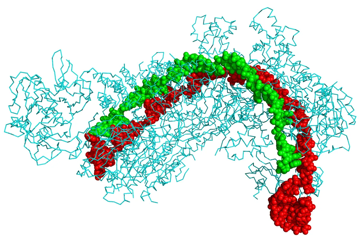CRISPR enzim koji usitnjava DNA mogao bi ubijati stanice raka