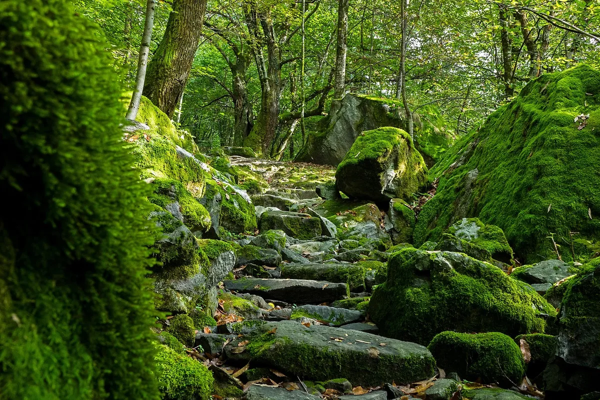 DHMZ: Pirokumulonimbusi su rijetki u Europi, ali opasni, mogu doseći 15 km