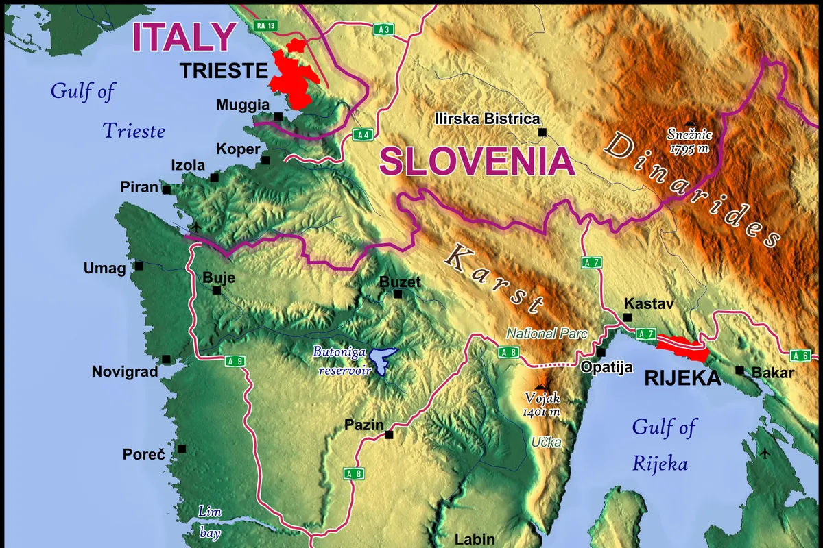 Gosti slavili i pokazivali srednji prst dok im je gorjela kuća