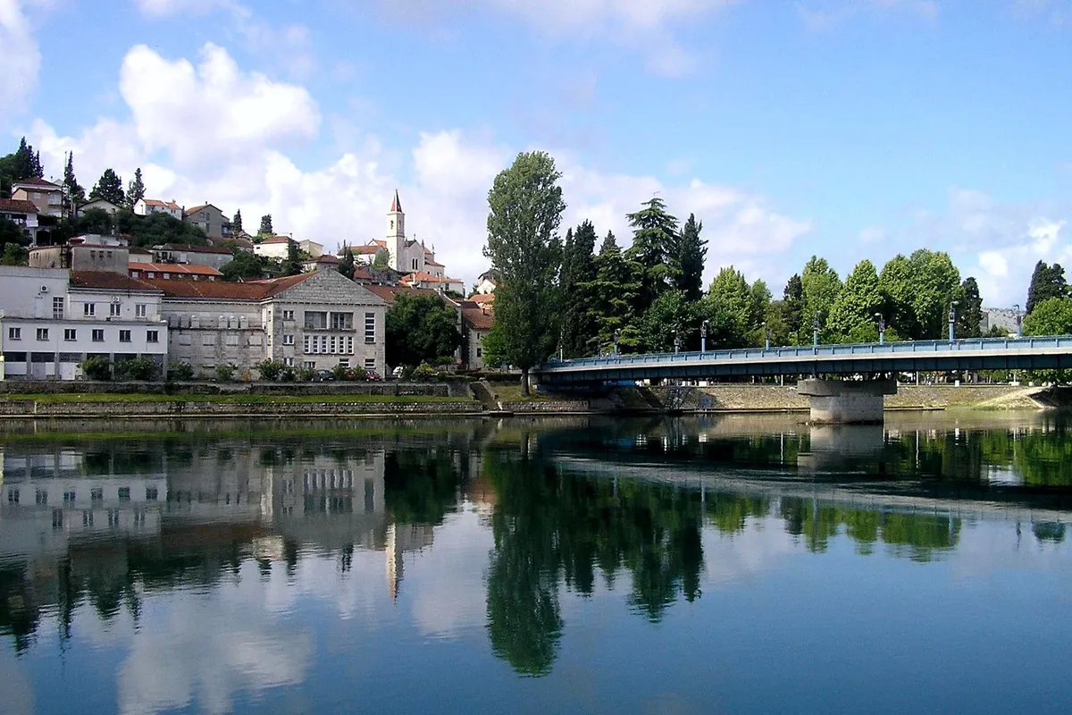 Majci dvoje djece u kuću ušao poskok
