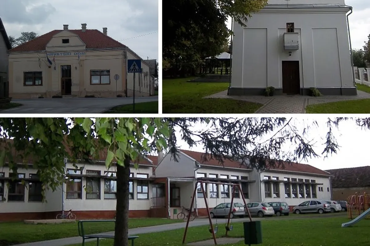 Marijan Balić iz Ilače dokazao da se od češnjaka može živjeti: Zarada i do 17.500 eura po hektaru