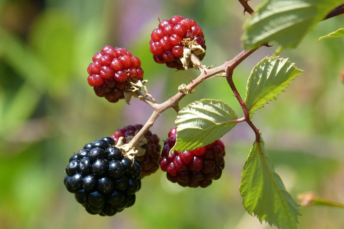 Sea at Bili Žal Clean Again: Warning Could Be Lifted as Early as Wednesday