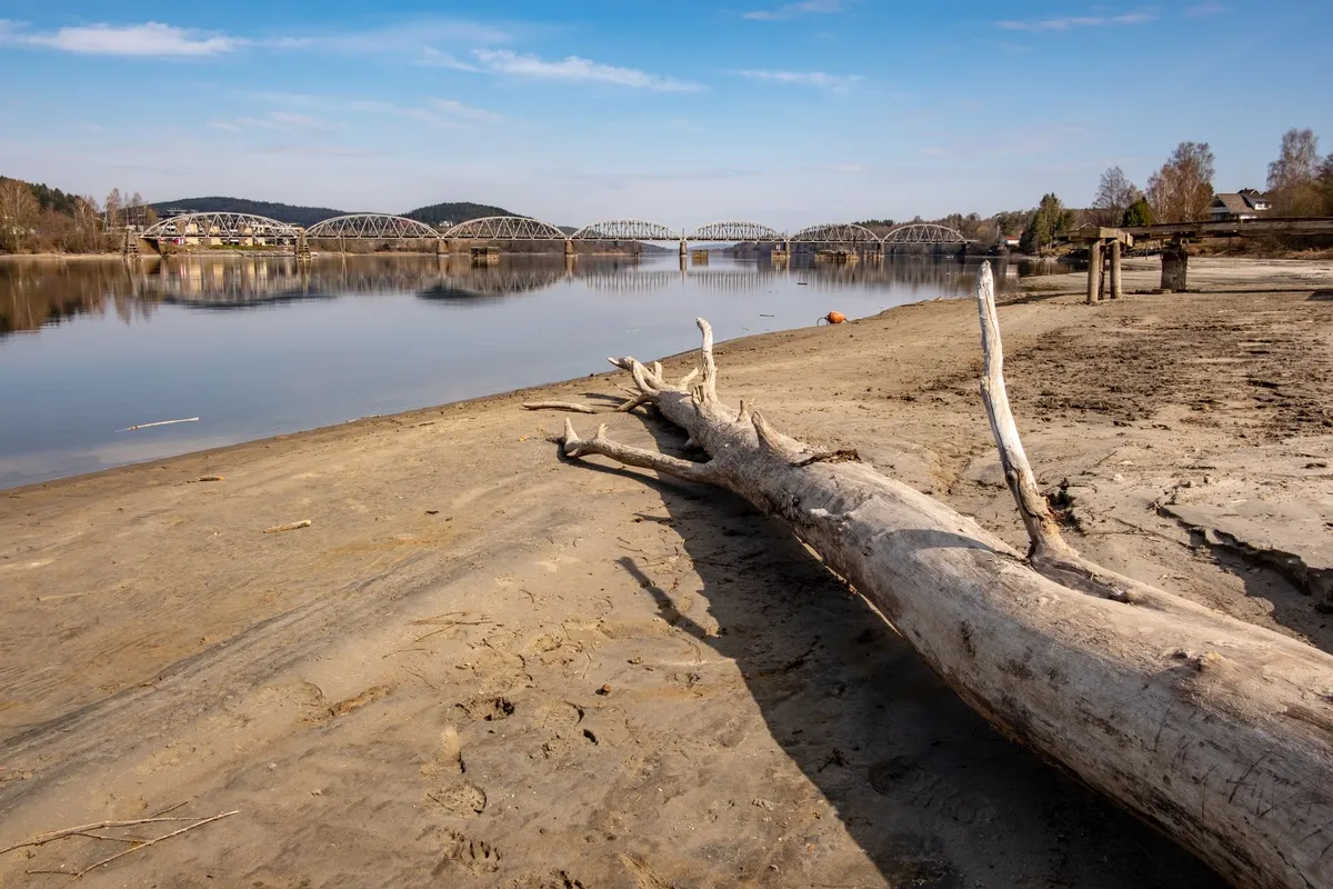 Rekordtiefe Wasserstände von Rhein und Donau legen Kraftwerke lahm und behindern den Verkehr