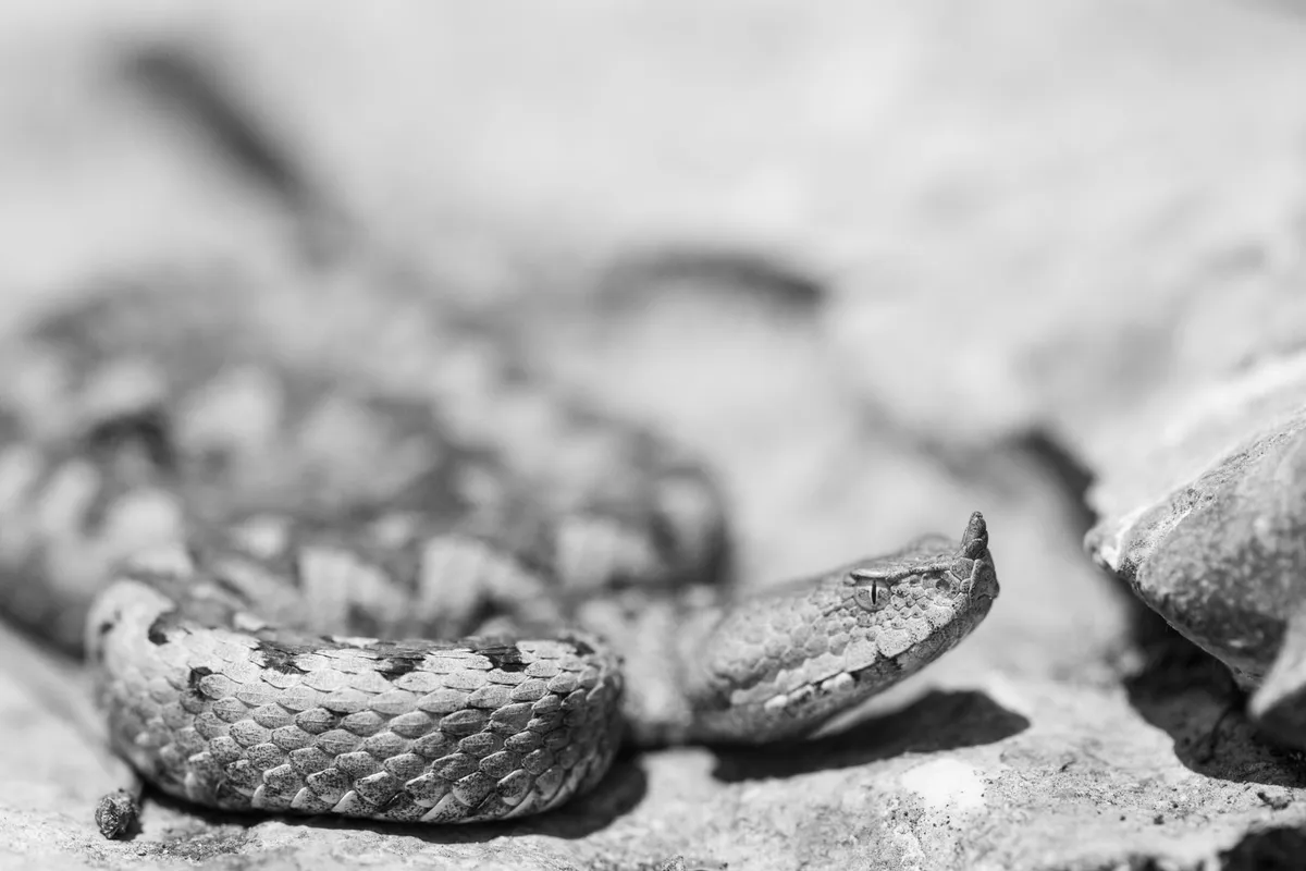 Vatrogasci majci s bebom i djetetom: poskok ubijen u kuhinji